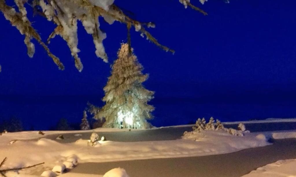 Appartement Mountain Lake Maurach  Dış mekan fotoğraf